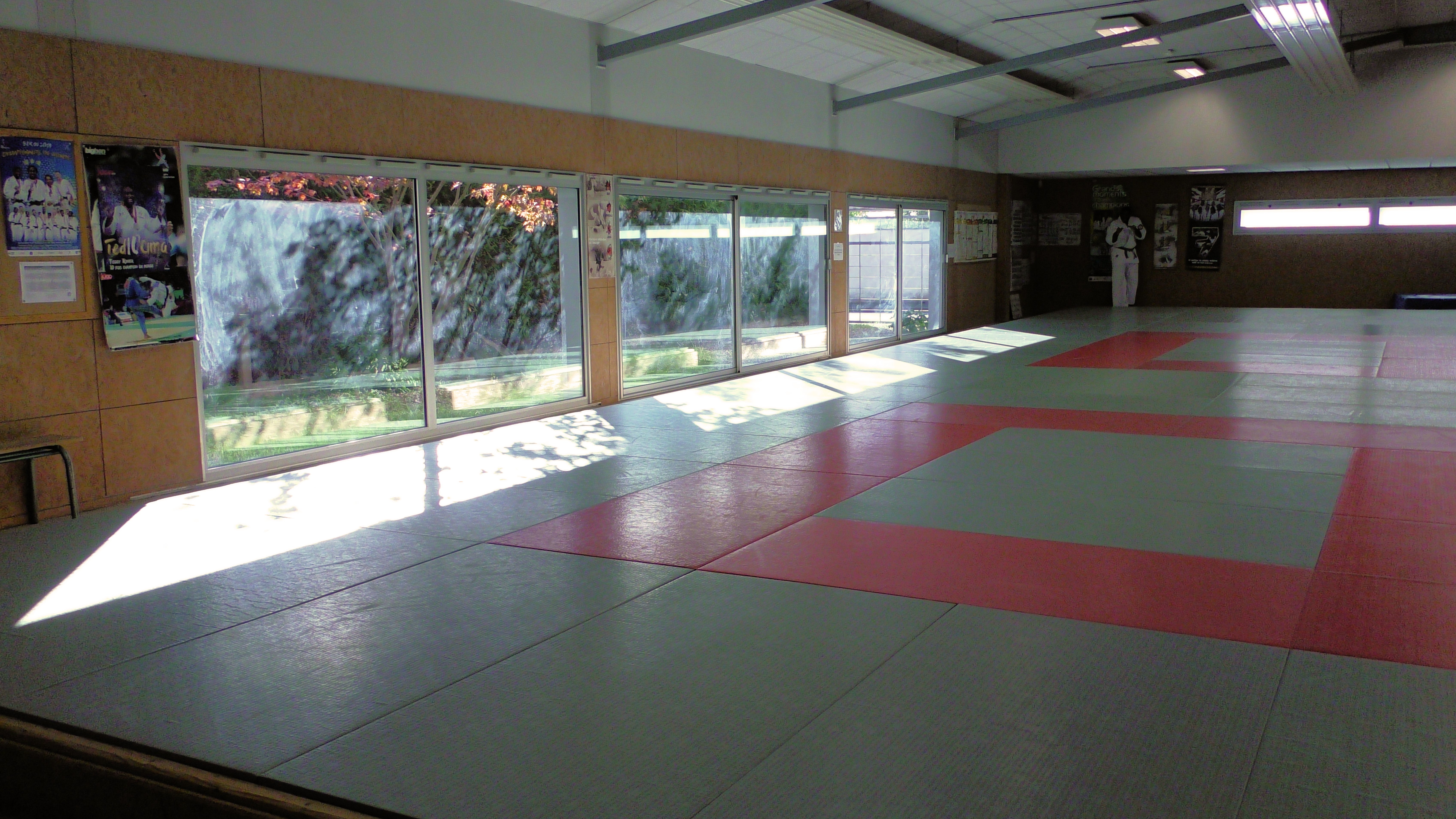 image-7